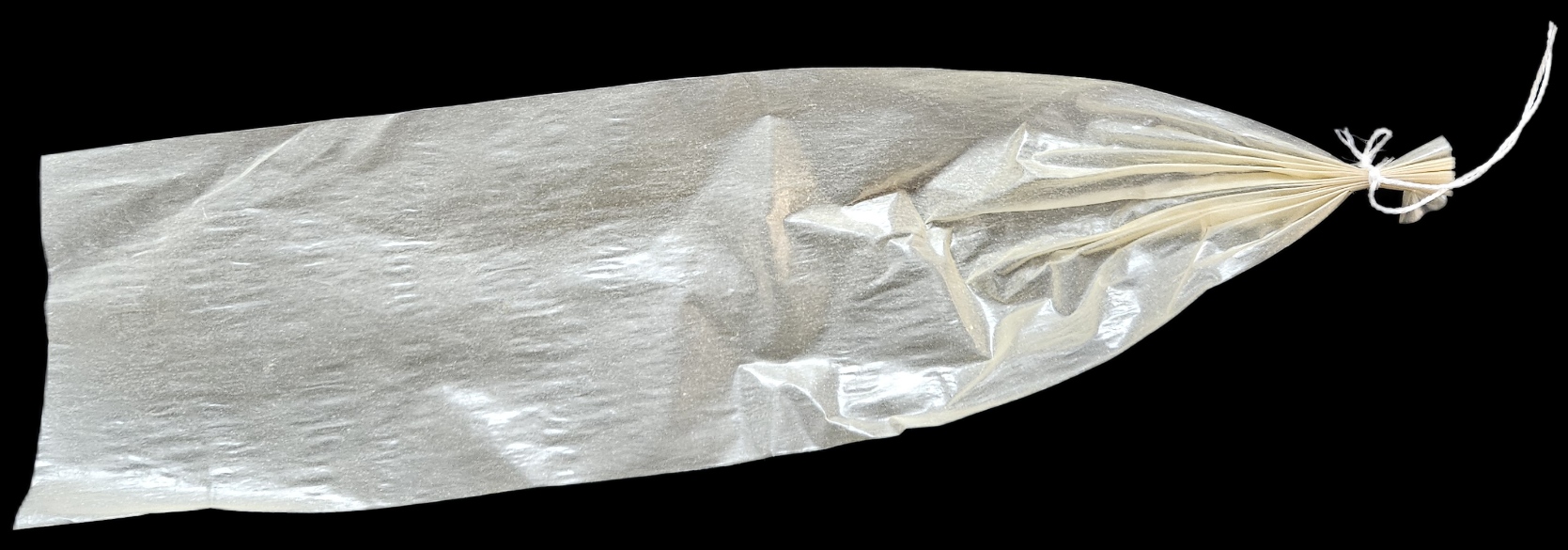 20251024 125153 20251024 125153