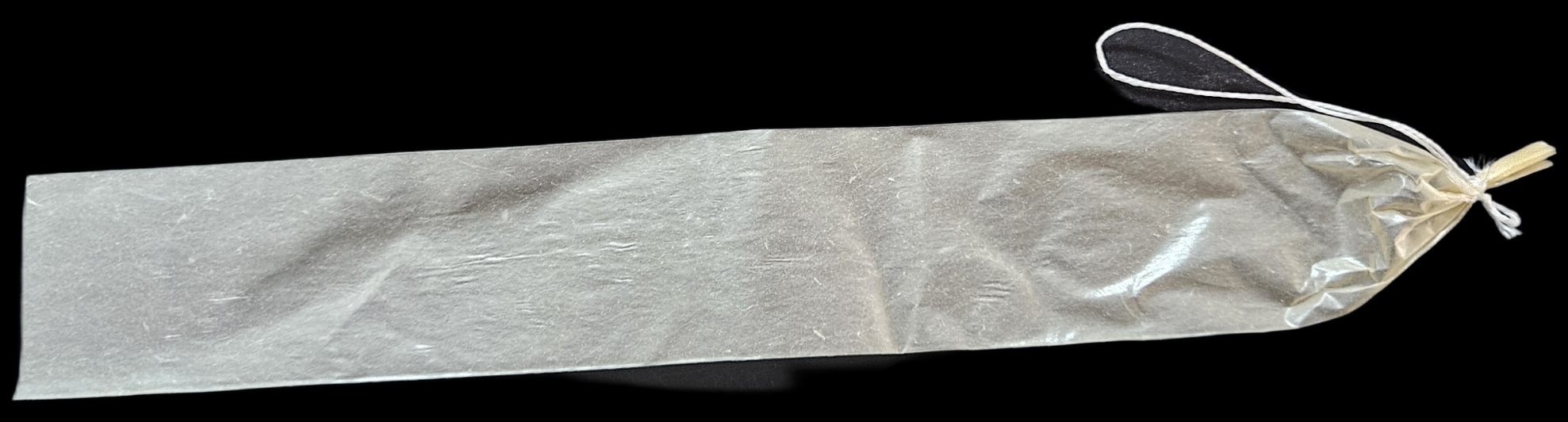 20251024 133416 20251024 133416